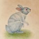 Miniature Bunny Rabbit Watercolor Painting