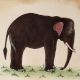 Watercolor Painting Of An Indian Elephant