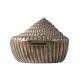 Silver Metal Sea Shell Storage Box