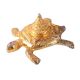 Brass Turtle Yantra Figurine in Elegant Golden Finish