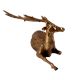 Brass Long Horn Laying Deer Statue