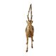 Brass Standing Deer Statue