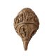 Brass Conch with Gods Carved Statues