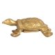 Brass Tortoise Engraved with Vastu Yantra