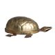 Engraved Brass Turtle Statue For Good Luck