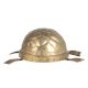 Engraved Brass Turtle Statue For Good Luck