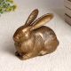 Beautiful Brown Finish Rabbit Statue Made of Brass