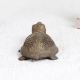 Handcrafted High-Quality Brass Turtle Statue for Decor