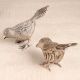 Nickel Plated Brass Bird Statue in Pair of 2 for Decoration