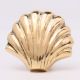 Solid Golden Shell Brass Drawer Knob