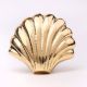 Solid Golden Shell Brass Drawer Knob