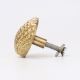 Golden Solid Brass Shell Drawer Knob