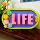 Life Cemented Plate for Home Decor