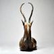 Vintage English Art Deer Figurine for Home Decor