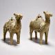 Exquisite Tribal Camel Pair with Jali Work