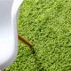 Trendy Green Shaggy Bedroom Rug