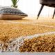 Modern Gold Shaggy Living Rug