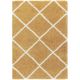 Modern Gold Shaggy Living Rug