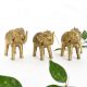 Elegant Brass Elephant for Decor in Set of 3