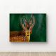 Handpainted Majestic Deer Pair Against Deep Green Background