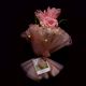 Soft Pink Crochet Tulip Bouquet With Tulle