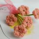 Sweet Peach Crochet Blossom Spray With Beads