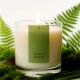 Forest Bamboo Essence Tranquil Scented Soy Wax Candle