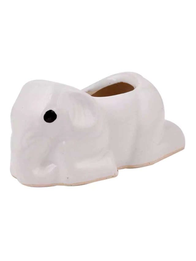 Pots Transform Spaces Beyond Mere Utility